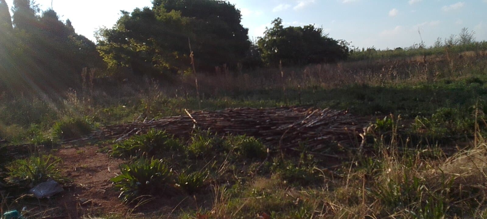 Vacant land for sale.