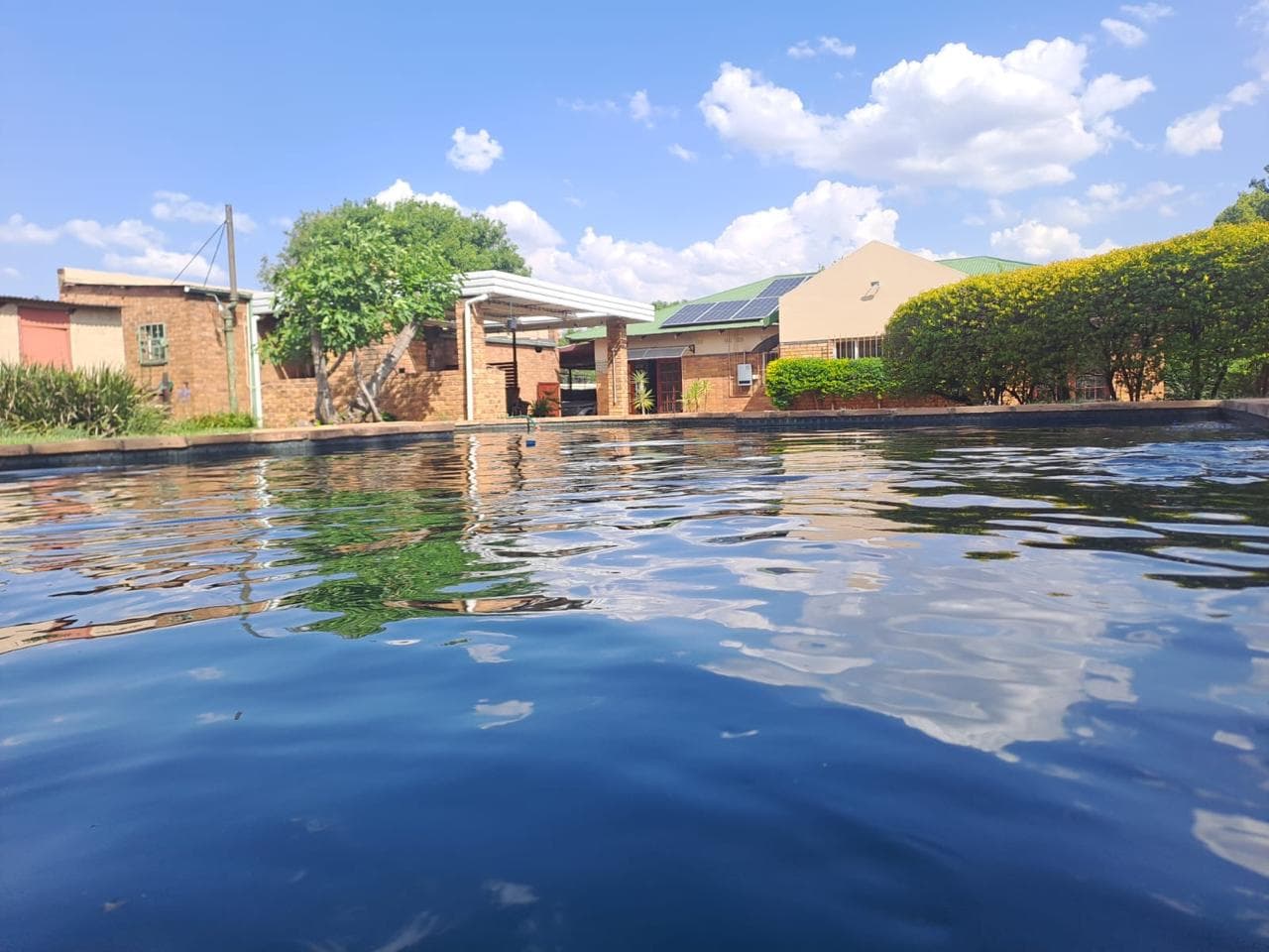 Stunning Renovated 3-Bedroom Family Home with Pool, Entertainment Area & Solar, picture 2